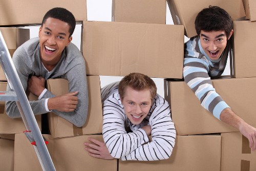 Professional movers loading belongings into a removal van